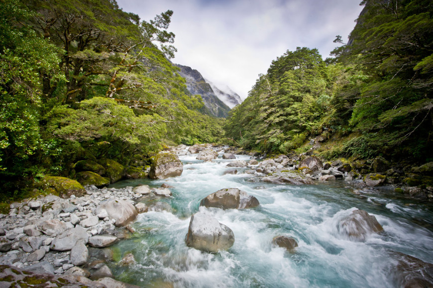 Beside-the-Road-to-Milford-Sound.jpg